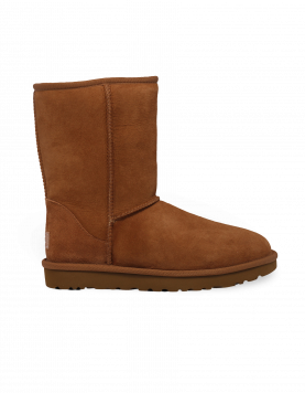 UGG Classic Short Bruin